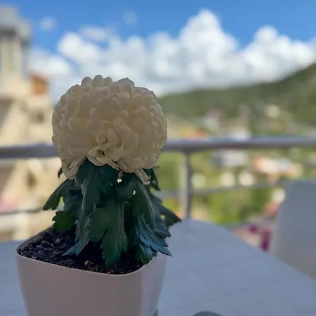 Trea Lungomare * Vlorë